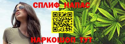 гидра Аргун
