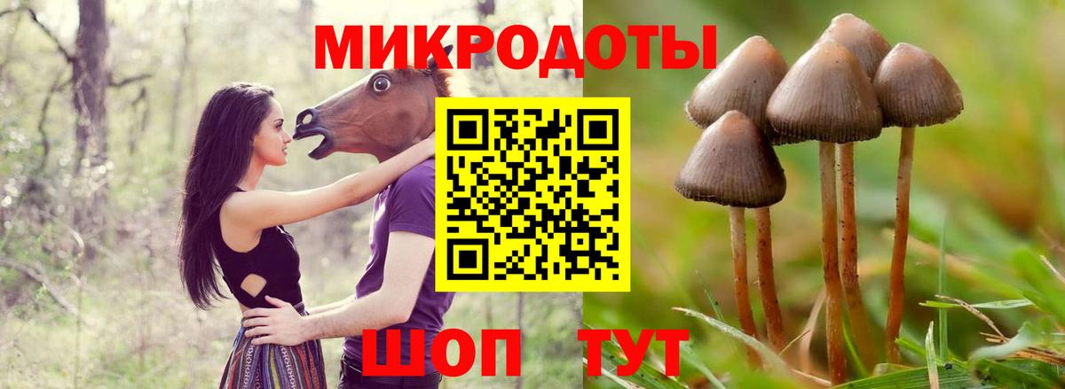 Белорецк  Псилоцибиновые грибы Magic Shrooms  Вход с VPN 
